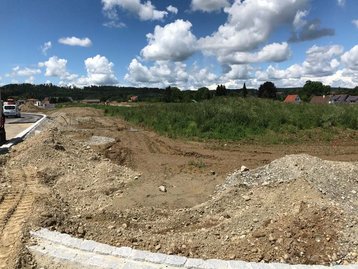 Wiese mit Erdhügeln