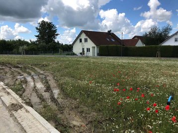 grüne Wiese mit Haus im Hintergrund