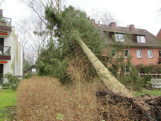 Sturm-3